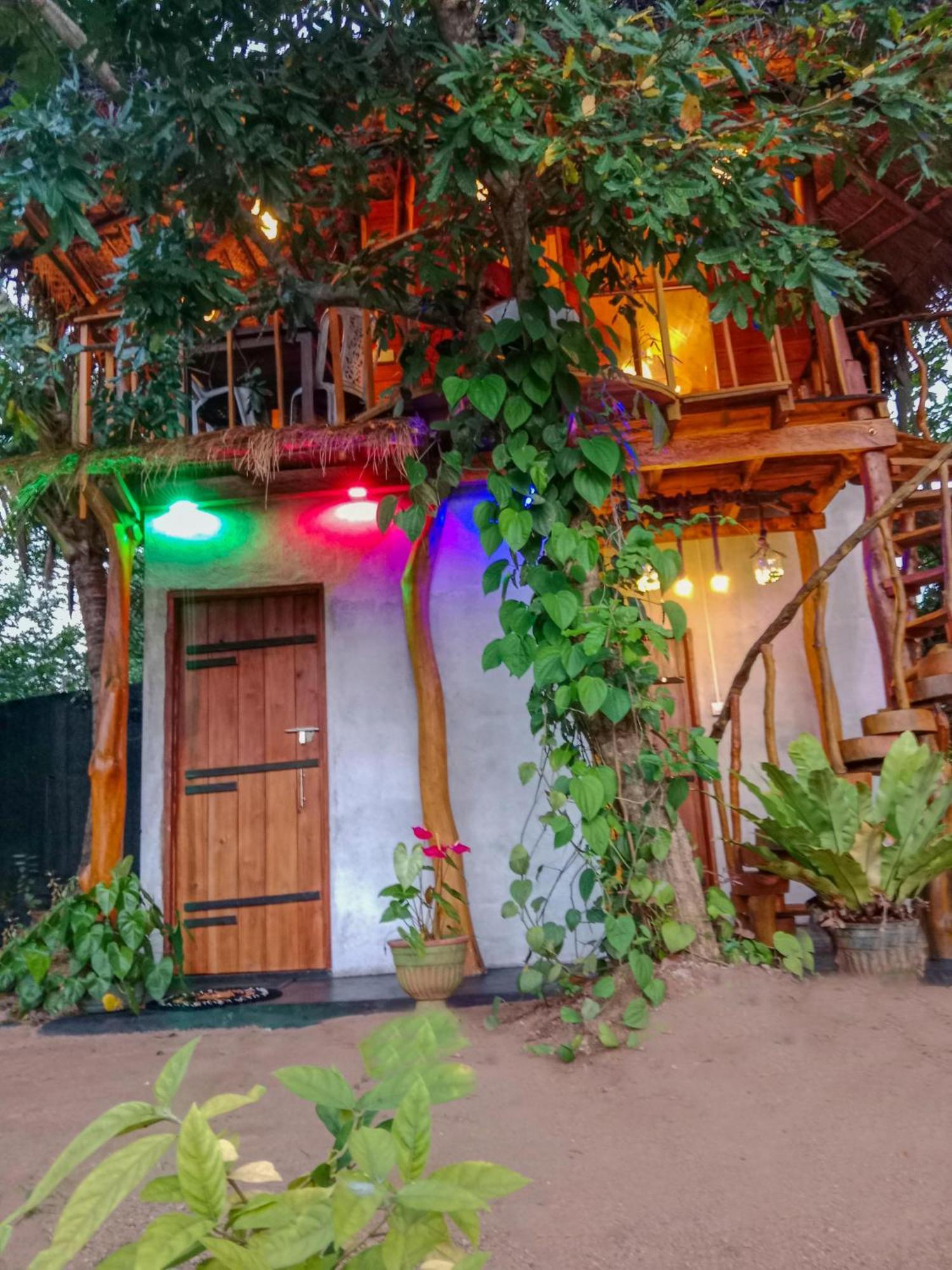 סיגירייה The Banda' Eco Villa מראה חיצוני תמונה